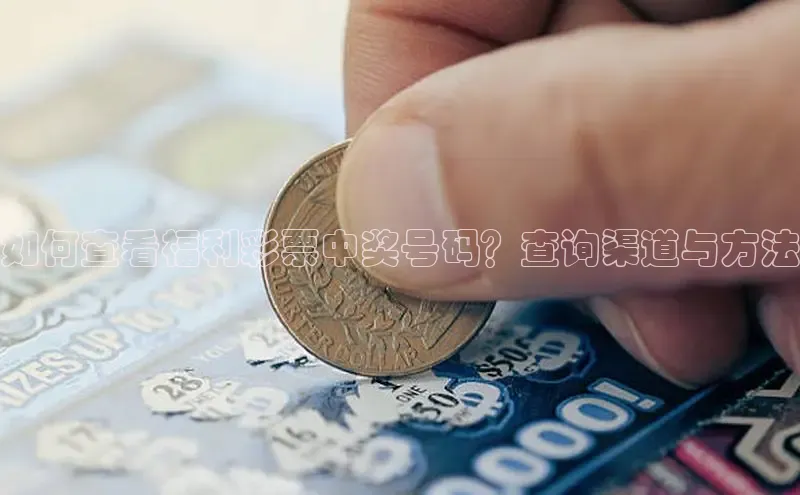 快乐8开奖结果查询今日中奖号直播